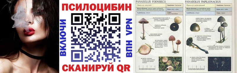 Галлюциногенные грибы Magic Shrooms  Купить закладки  Дмитриев 